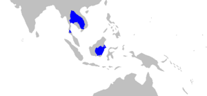 Himantura polylepis rangemap.png