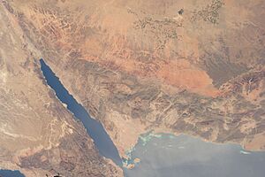 ISS036-E-48658 - View of Saudi Arabia