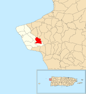 Location of Jagüey within the municipality of Rincón shown in red