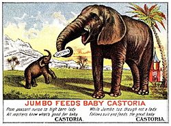 Jumbo Feeds Baby Castoria