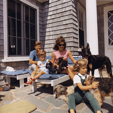 Kennedy Family with Dogs During a Weekend at Hyannisport 1963