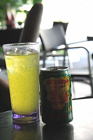 Kickapoo Joy Juice 2