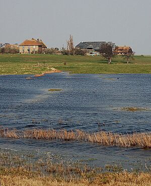 Kings Hill Farm buildings - geograph.org.uk - 376447.jpg