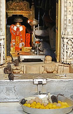 La statue de la déesse entourée des rats sacrés (Temple de Karni Mata) (8423510937).jpg