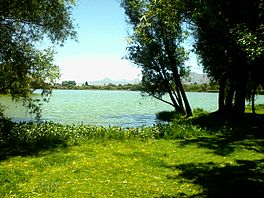 Laguna de zacapu.jpg