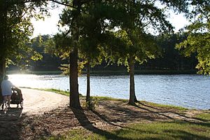 Lake Lincoln State Park--Mississippi