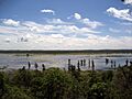 Mingo National Wildlife Refuge