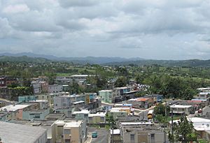 View of Morovis barrio-pueblo