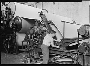 Mt. Holyoke, Massachusetts - Paper. American Writing Paper Co. Cylinder machine (making matchboard). - NARA - 518334