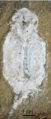 Mushia from Gogo Formation