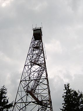 Olson Observation Tower.jpg