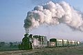 PR ZE class 230 train, en route to Lakki Marwat from Mari Indus (ca. 1987)