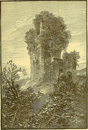 Picturesque Ireland - a literary and artistic delineation of the natural scenery, remarkable places, historical antiquities, public buildings, ancient abbeys, towers, castles, and other romantic and (14757013626).jpg