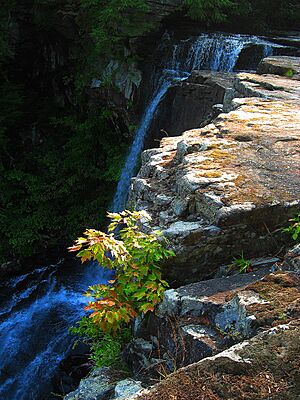 Piney Falls
