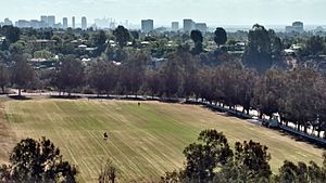 Polo field Will Rogers Historic Park Los Angeles 20160522 094403847