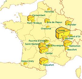 Principales AOC France