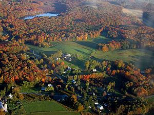 QuicktownAerial picture