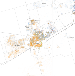 Race and ethnicity 2020 Odessa, TX