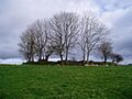 Ringfort at Cabragh - geograph.org.uk - 505171