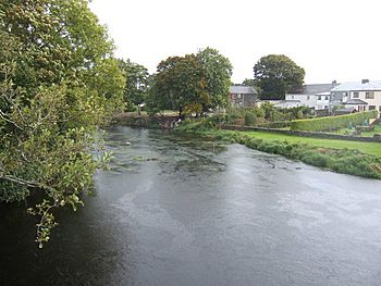 River Bride at Conna, Co. Cork - geograph.org.uk - 574660.jpg