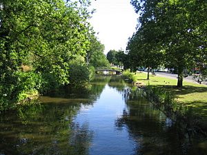 River Gade in Hemel Hempstead