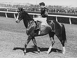 Rogilla 1933 VRC Melbourne Stakes Flemington Racecourse Jockey Darby Munro Trainer Les Haigh