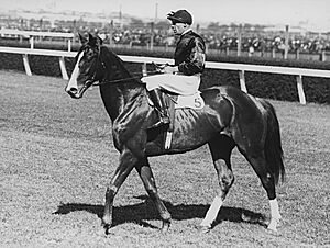 Rogilla 1933 VRC Melbourne Stakes Flemington Racecourse Jockey Darby Munro Trainer Les Haigh