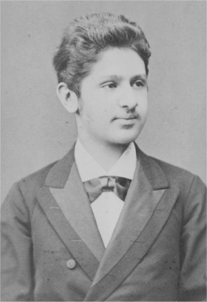 Arnold Rosé Facts for Kids