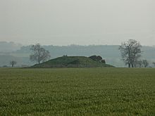 Round Hill barrow, near Twyford - geograph.org.uk - 380246.jpg
