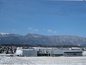 Selzach ost mit hasenmatt jura