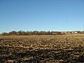 Spafford field