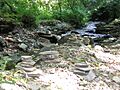Stnectansglenriver