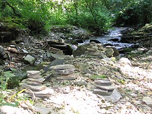 Stnectansglenriver