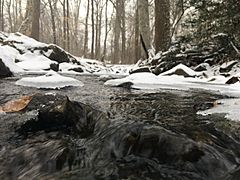 Stony Creek in the Winter