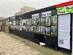 Photography exhibition honouring the 51 trees cut down for the Berkeley development
