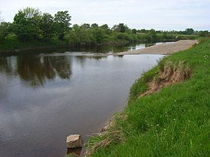 The River Esk, Arthuret - geograph.org.uk - 1325304
