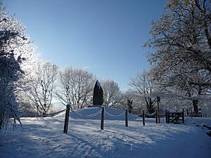 The monument to Llywelyn the Last at Cilmery in snow - geograph.org.uk - 2179424
