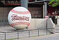Tomateros Ball2019