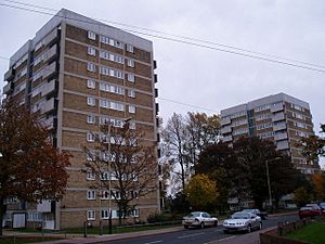 Tower blocks, Heartsease, Norwich - geograph.org.uk - 277087