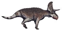 Turanoceratops tardabilis life restoration.jpg
