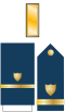 USCG O-1 insignia.svg