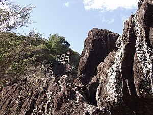 Wairere boulders platform1