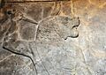 Wall relief depicting a head of an Uglallu, a lion-headed man.