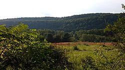 Wallpack Ridge from Mountain Road in Walpack Township New Jersey.jpg