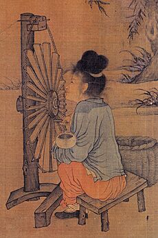 Wang Juzheng's Spinning Wheel, Close Up 2