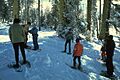 Yosemite Winter Hiking