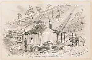 1855-00-00 Scenes from Ballarat (FW Niven lithographer) SLV cropped