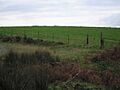 Ancient mounds - geograph.org.uk - 1010269