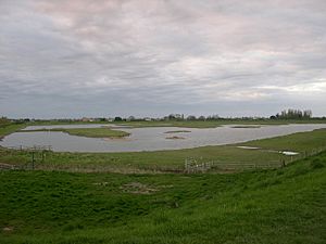 Artificial lagoon, Freiston Shore managed realignment site - geograph.org.uk - 389063.jpg