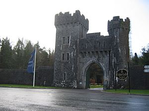 Ashford castle gate